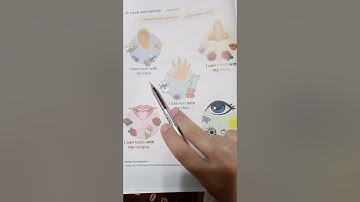 connect plus 4 unit 1 lesson 2