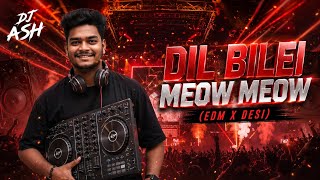 DIL BILEI MEOW MEOW - TRENDING | REMIX | DJ ASH  | RAJA SPECIAL 2026