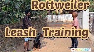 Leash training #rottweiler