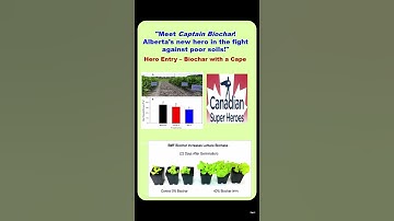 Biochar Increasing Crops Yield In Salty Soils of Alberta#shortvideo#biochar#Reclamation #yield