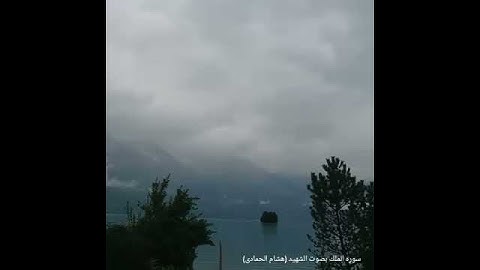 سوره الملك بصوت الشهيد هشام الحمادي