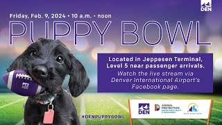 2024 DEN Puppy Bowl