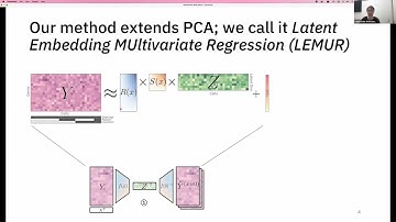LEMUR: a new tool for differential expression analysis in multi-condition single-cell RNA-seq data