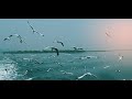 St martins island bangladesh  al mamun official  redmi note 5 pro  mobile cinematography