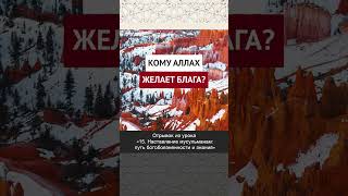 Кому Аллах желает блага? || Рустам абу Марьям #ислам #коран #вера #факты #намаз #пост #умра #нрав