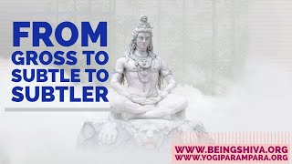 Celebrity From Gross to Subtle to Subtler Profile