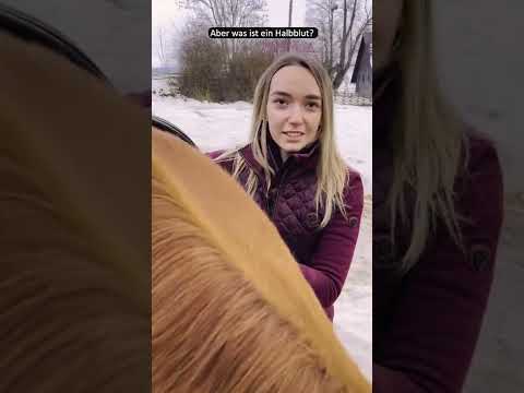 Video: Warmblüter: Beschreibung, Foto