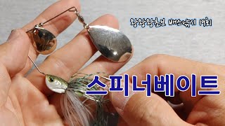 왕왕왕초보 배스낚시 19회 - 스피너베이트