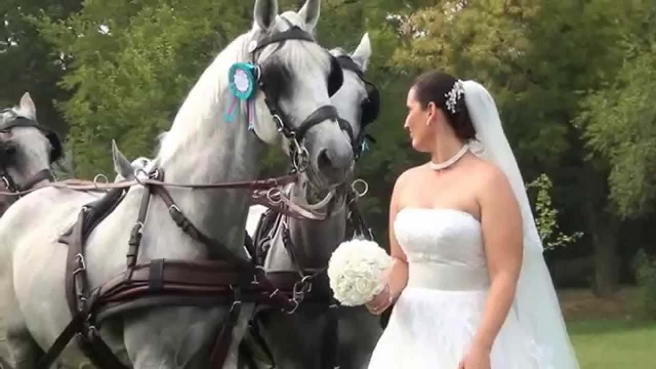 Esküvői fogat  Vajda Pálné fogata