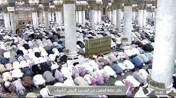 مغرب الأربعاء|للشيخ عبدالمحسن القاسم 30-8-1444هـ |من سورة البقرة