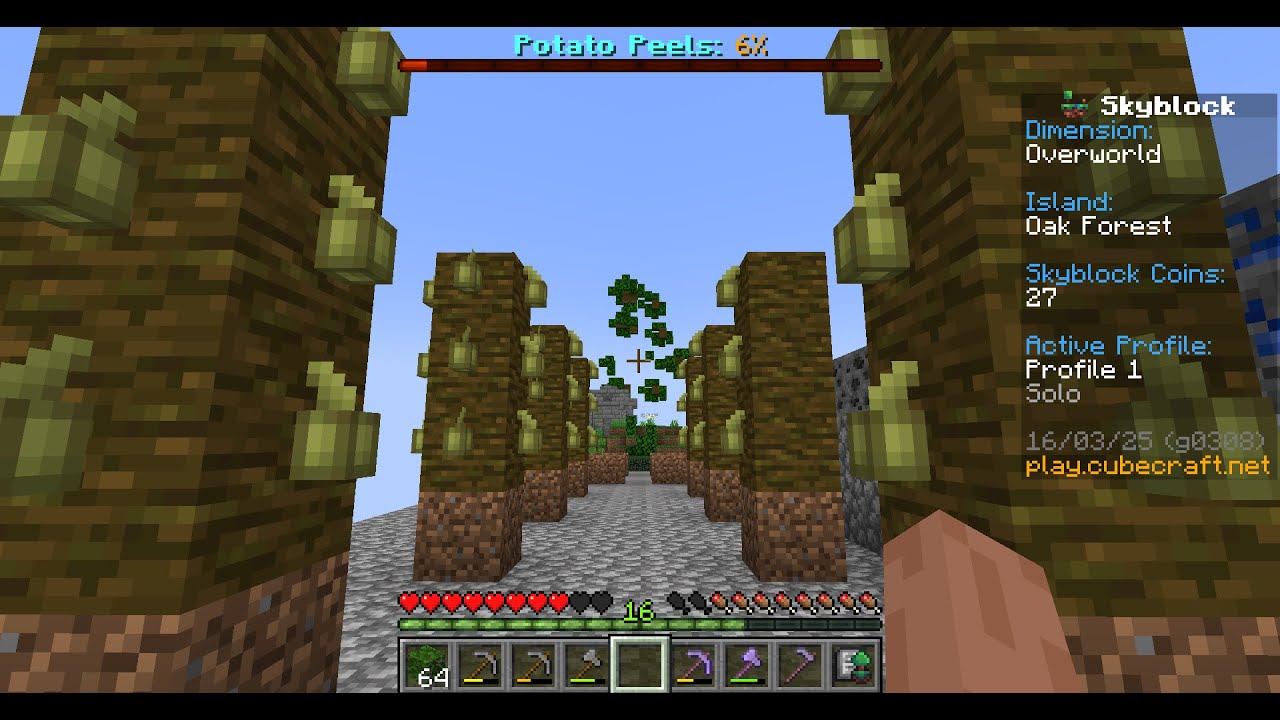 EP.9 - Quest in MineCraft : CubeCraft - SkyBlock - YouTube