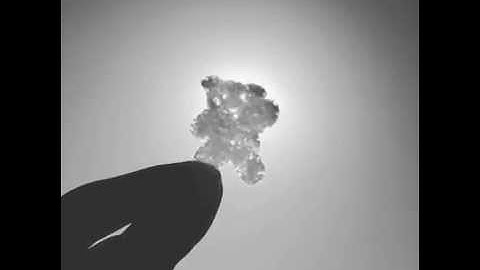 Loop Movie #2. wknbkn snshn 11747902 1435441600115362 1217003146