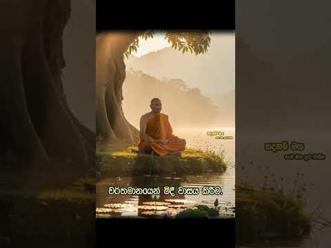 වර්තමානයෙන් මිදී වාසය කිරීම. | Hasalaka Seelawimala Thero | EP 149
