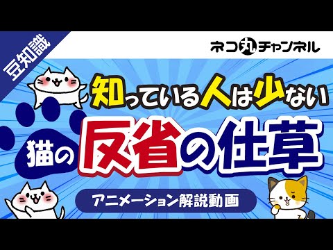 猫が反省していないような態度でも、実は反省している仕草をご紹介! hqdefault
