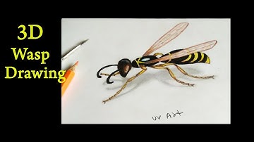 How to draw 3D Wasp Drawing step by step  3D Drawing  3D Art tricks