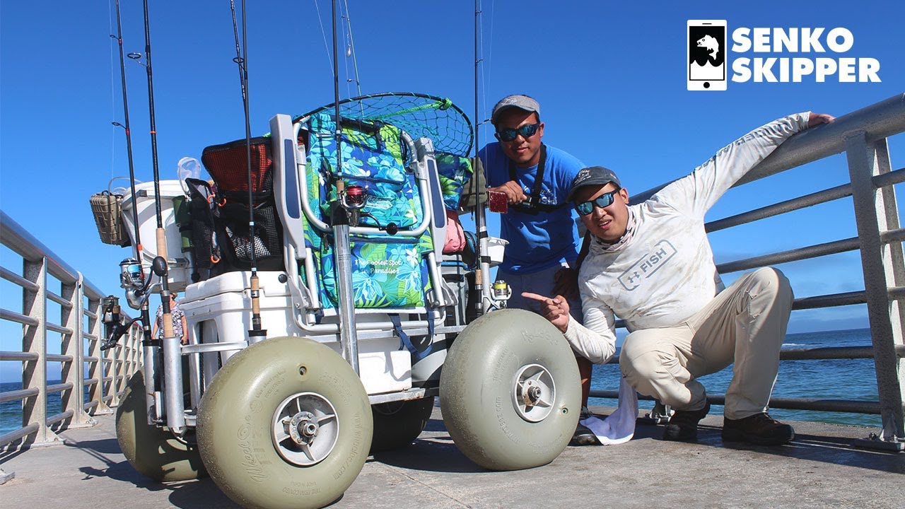 Project - Beach cart into E bike fishing cart 