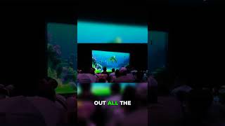 Crush Surprises Crowd: 'Woah, Dude!' - Finding Nemo