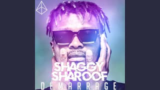 Vanier (spots) - Shaggy Sharoof