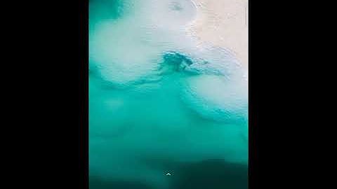 system integrity compromised please fix it before using payment apps.