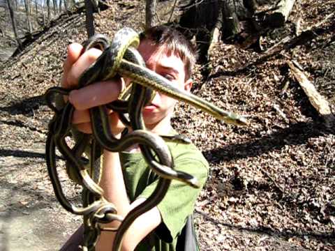 herping gear More snakes