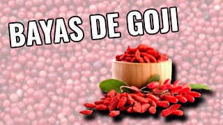 BAYAS DE GOJI - beneficios de este fruto ancestral