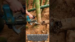Powerful Bamboo Cutter Tool You’ve Never Seen Before #satisfying #tools #lifehack #handyman