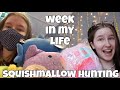 WEEK IN MY LIFE SQUISHMALLOW HUNTING! [Dossier Perfume]