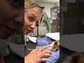 Kitten May Not Survive Bad Fall From Scratching Post 😭| Bondi Vet #shorts