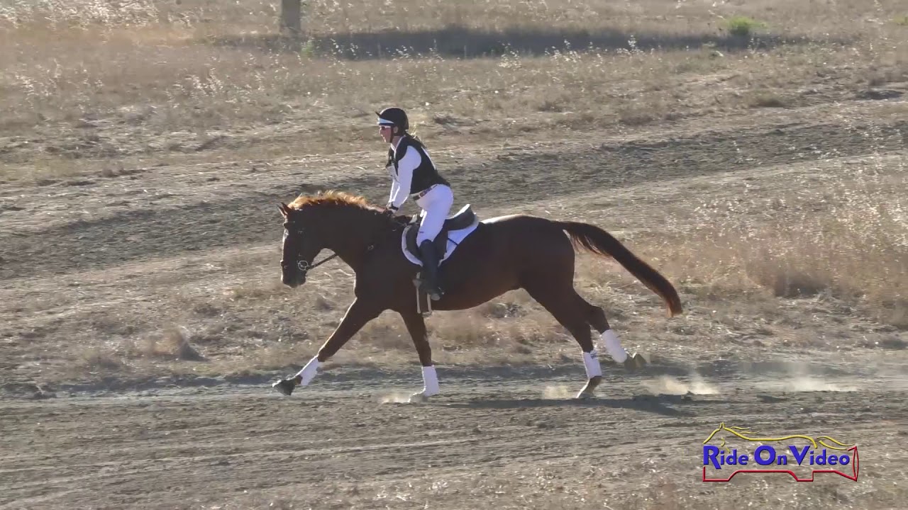 dressage court letters 174XC Victoria Klein on Valdess Des Loges Training AM Cross Country Woodside Oct. 2019