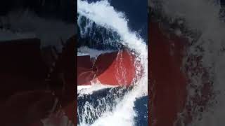 Sea Crush beingmariner marchant navy travel shorts