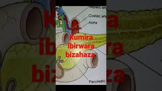 Ibirungo Byabahinde Imiti Ukeneye Muminsi Iri Imbere