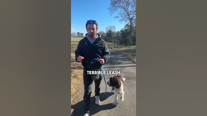 Fixing This Dog’s Reactivity #reactivedogtraining