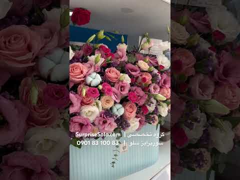 سورپرایز  سوپرایز    موسیقی سورپرایز تولد سورپرایزکرج روزمادر