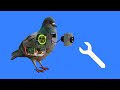 How to Fix a Bird