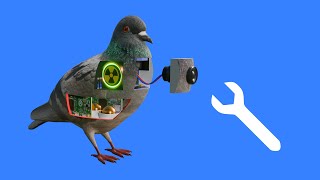 Download Lagu How to Fix a Bird MP3 Download Lagu How to Fix a Bird MP3