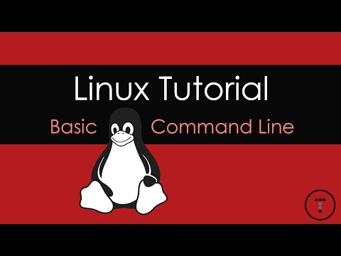 Video: Kaip paleisti x11 sistemoje „Linux“?