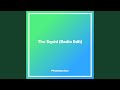 Miniature de la vidéo de la chanson The Squid (Radio Edit)