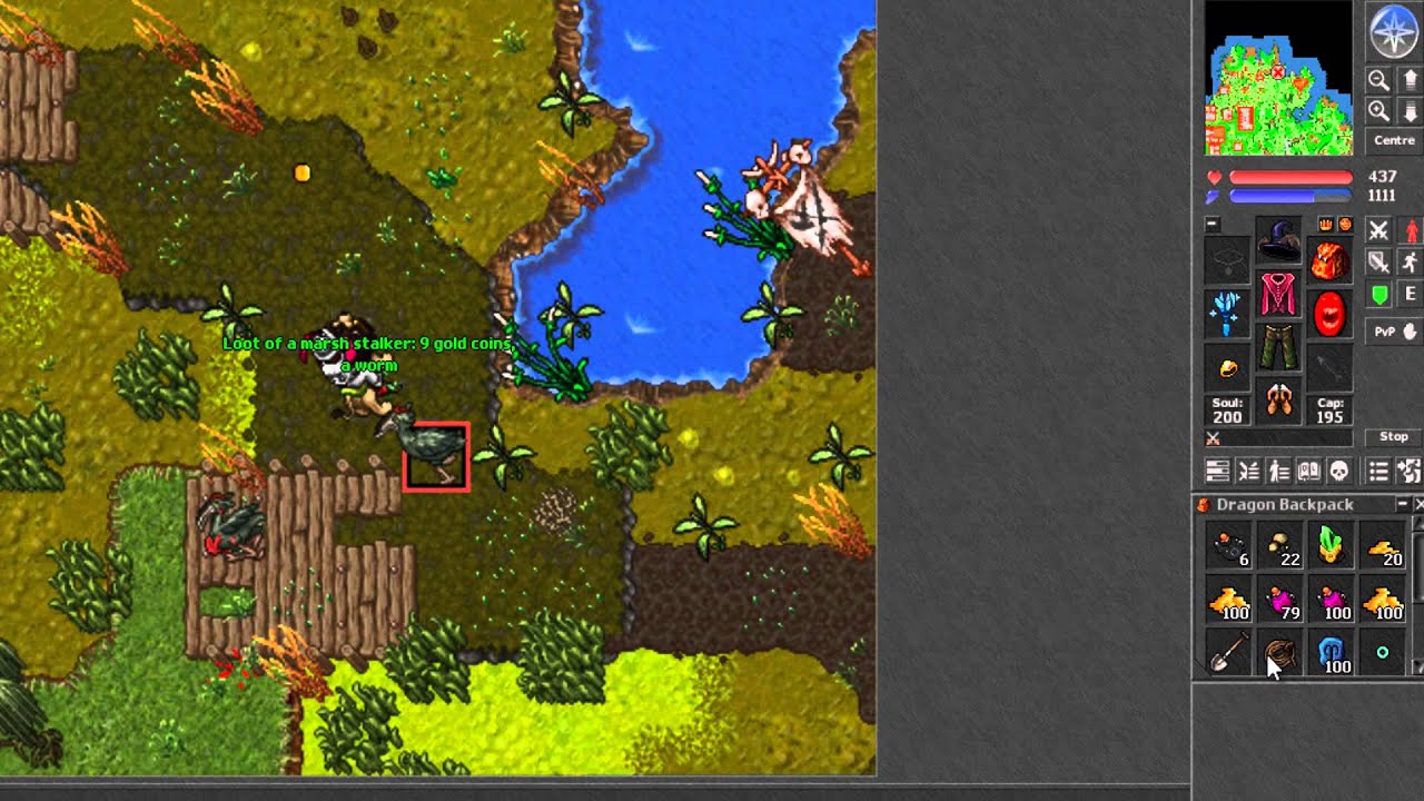 [TibiaRoyal] Guide - How to Get a Leech? - YouTube
