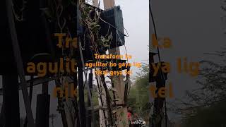 Bibhag Hajar Ho A Sadtyanash, ,,