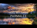 Parmalee Take My Name Lyrics
