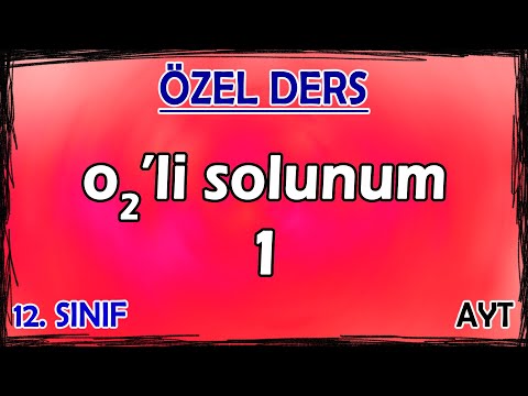 14) Oksijenli Solunum 1 - Özel Ders (12. Sınıf)