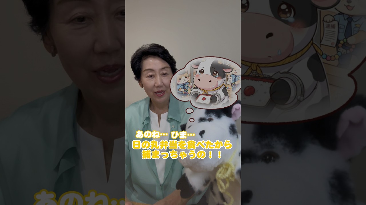 🔍TikTok「早稲田さんとひまわり🌻🐮」で検索#早稲田ゆき #中道 #鎌倉 #国旗損壊罪