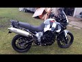 Triumph Tiger 955i Camo design 2018