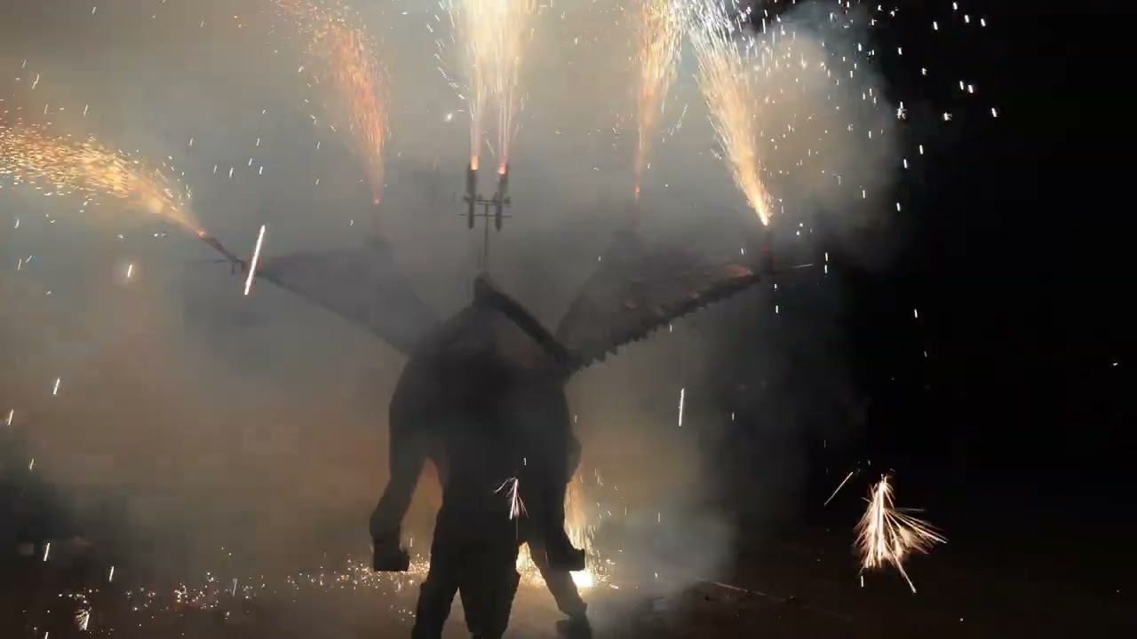 Crema de la Ninota, el Ninot i la Bota de Tarragona.