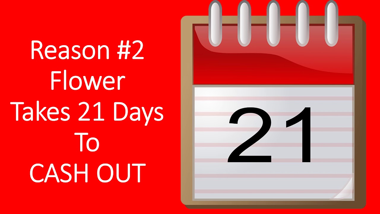 Is The Flower Legitimate YES YouTube