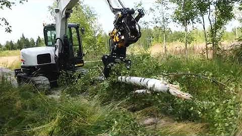 Clearing fallen trees after storms and wildfires | Effective work with JAK Tree Shear