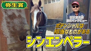 【弥生賞2024】シンエンペラー・矢作調教師「（若さはあるがポテンシャルは相当に高い？）そうですね、全く僕も同じことを思っています」《東スポ競馬》