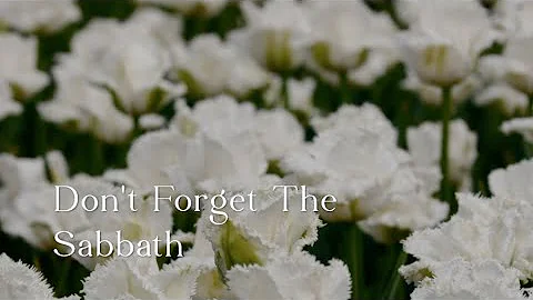 388 SDA Hymn - Don't Forget The Sabbath (Singing w/ Lyrics)