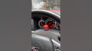 Only good times with mochi 💞 #dasai #jdm #anime #japan #mochi #hype