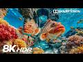 Unseen Ethereal Ocean Creatures in 8K HDR | Dolby Vision™